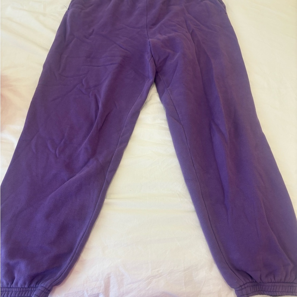 Aritzia Purple TNA Sweatpant